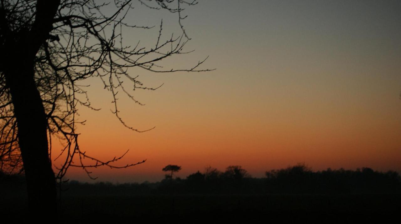 Gite Le Coucher De Soleil Plessé Dış mekan fotoğraf